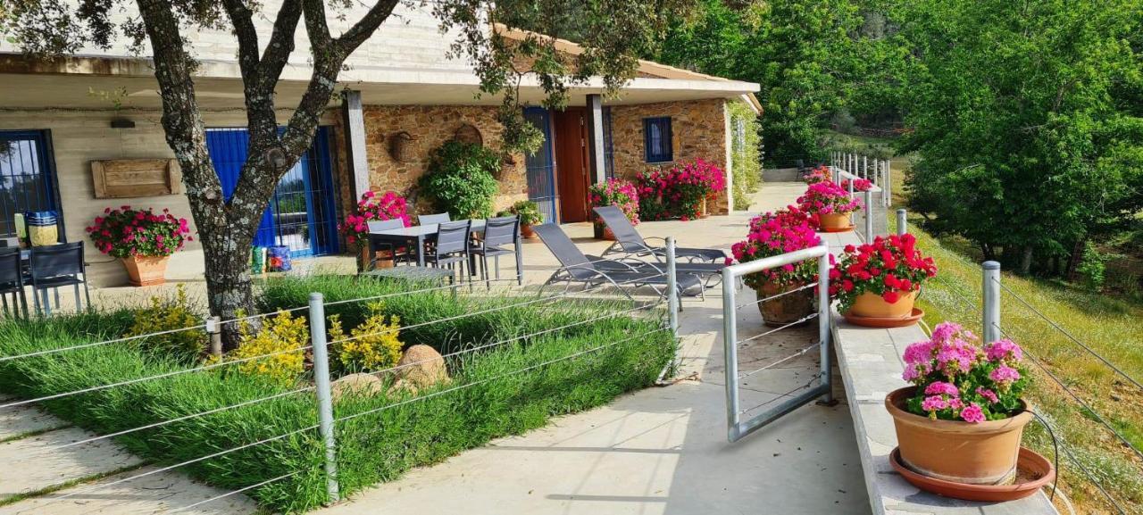 Casa Rural Madre Del Agua. Finca El Robledillo Монестеріо Екстер'єр фото